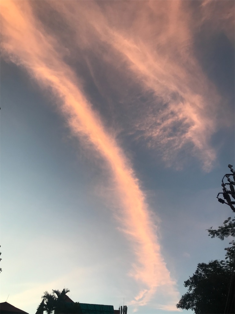 f:id:wasami:20210616212505j:image f:id:wasami:20210616212505j:image