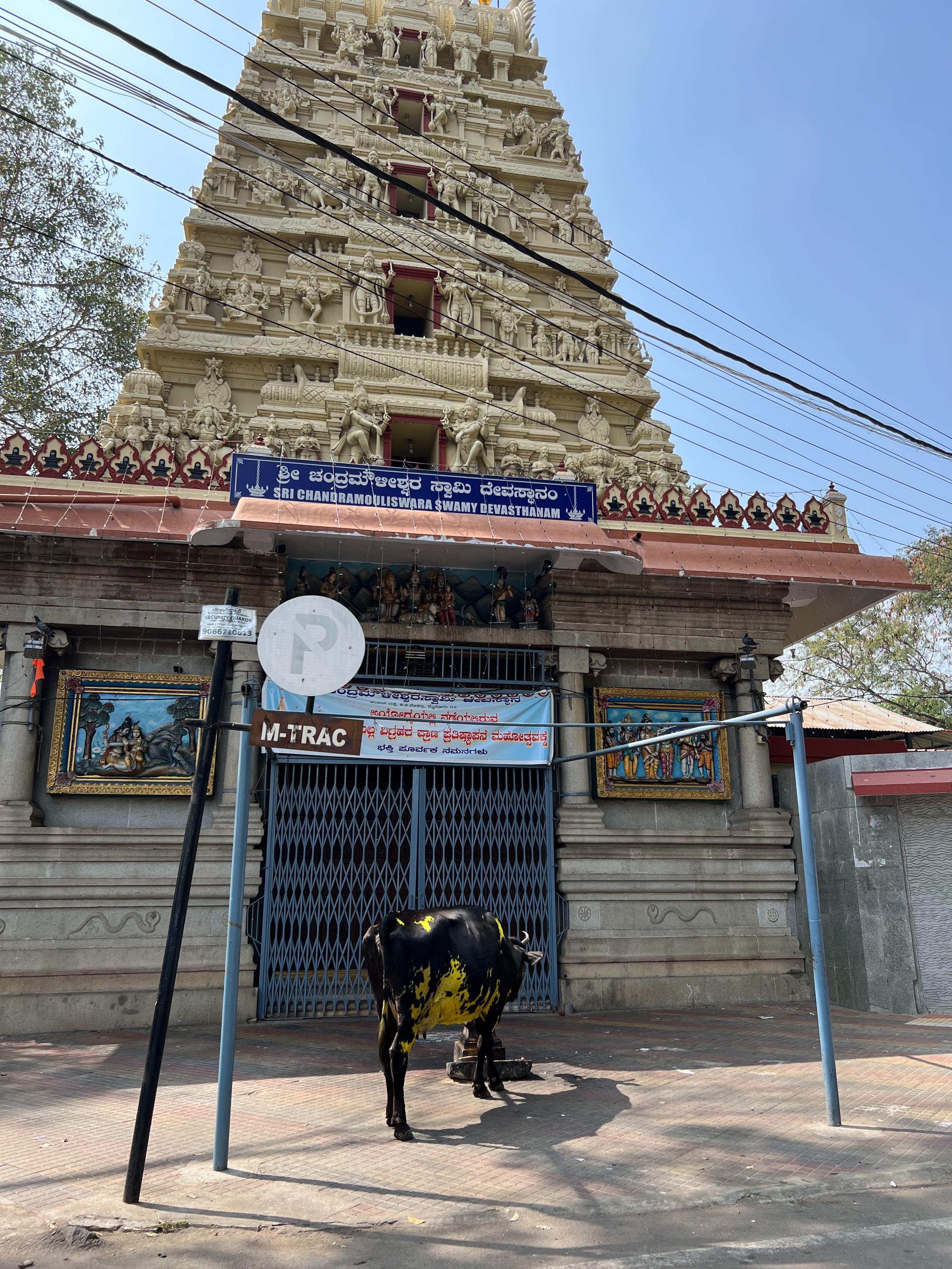 f:id:wasami:20240301195917j:image f:id:wasami:20240301195917j:image