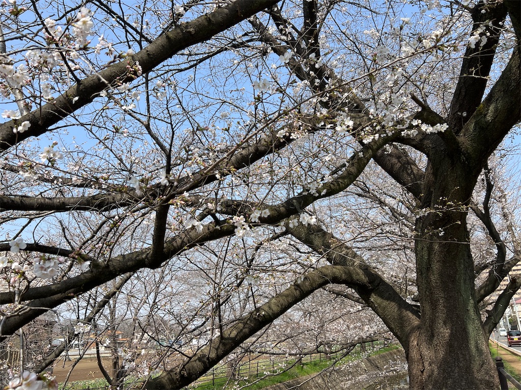 f:id:wasami:20250327194227j:image f:id:wasami:20250327194227j:image