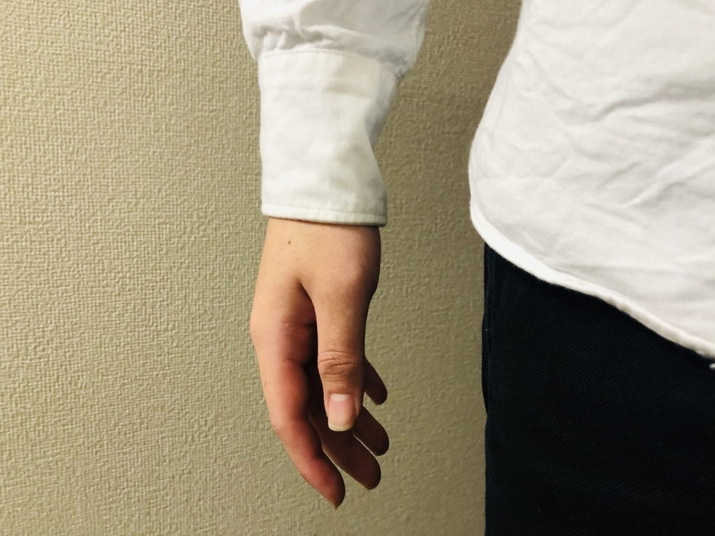 f:id:wasanbontaro:20190220235259j:plain f:id:wasanbontaro:20190220235259j:plain