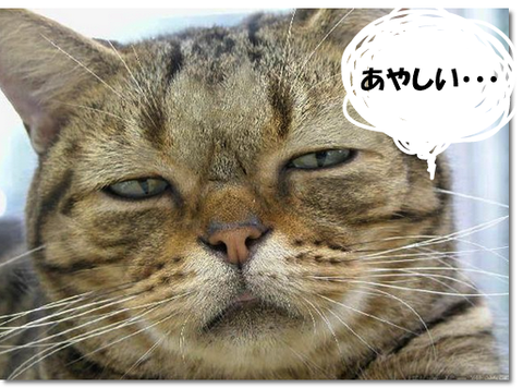 f:id:wasavi0032016:20180805061614p:plain