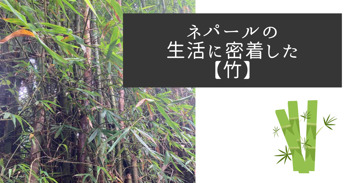 生活に密着した【竹】 - 空のちょっと下で