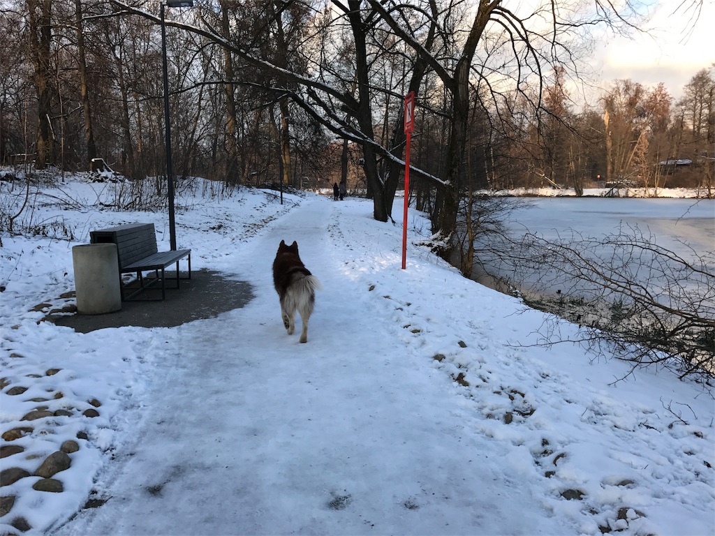f:id:wash-fuel:20180201235541j:image