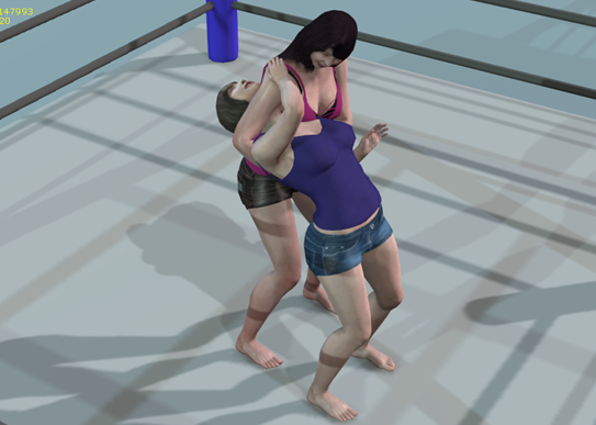 女子プロレス技検証 ドラゴンスリーパー 女子プロレス 技検証