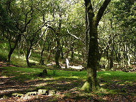f:id:wasrer:20110215113234j:image f:id:wasrer:20110215113234j:image
