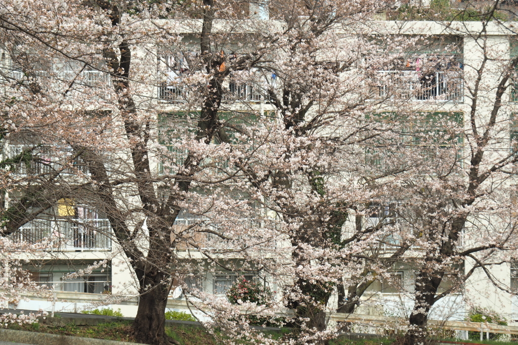 f:id:wassy1974:20180325211721j:plain f:id:wassy1974:20180325211721j:plain