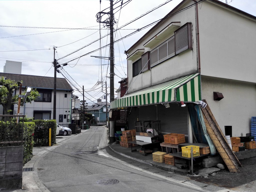 f:id:wassy1974:20180325225343j:plain f:id:wassy1974:20180325225343j:plain