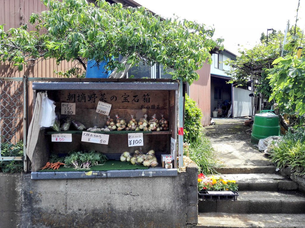 f:id:wassy1974:20180325225347j:plain f:id:wassy1974:20180325225347j:plain