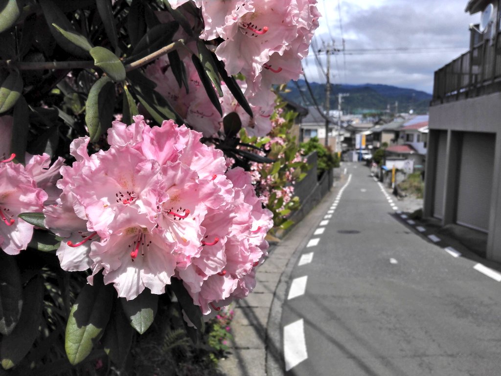 f:id:wassy1974:20180325225403j:plain f:id:wassy1974:20180325225403j:plain