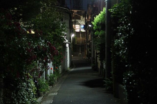 f:id:wassy1974:20180517071121j:plain f:id:wassy1974:20180517071121j:plain