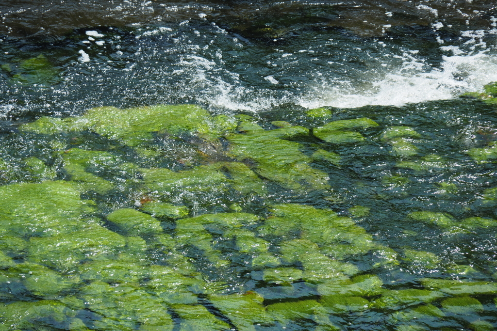 f:id:wassy1974:20180520215045j:plain f:id:wassy1974:20180520215045j:plain