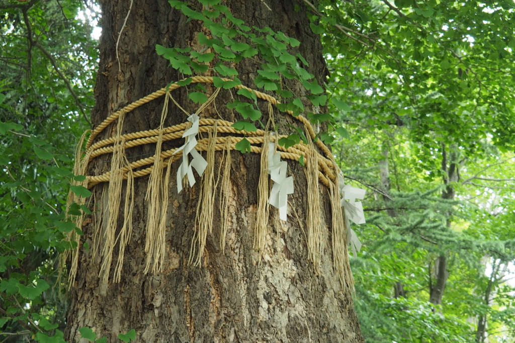 f:id:wassy1974:20180520215721j:plain f:id:wassy1974:20180520215721j:plain