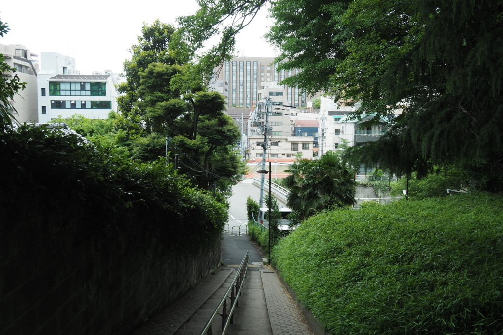 f:id:wassy1974:20180520215846j:plain f:id:wassy1974:20180520215846j:plain