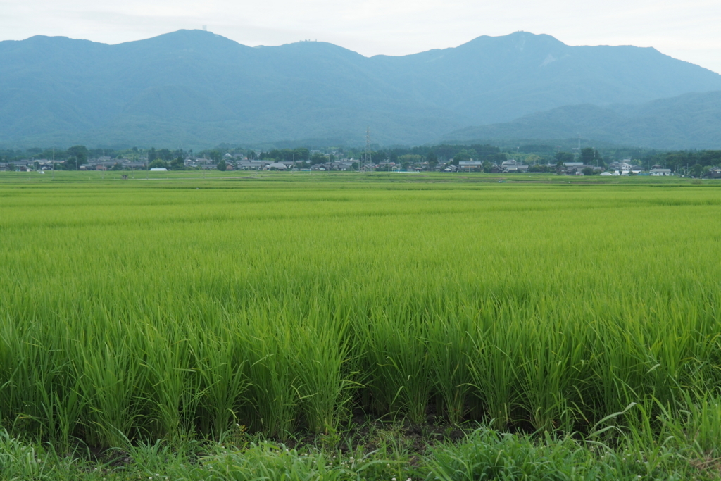 f:id:wassy1974:20180730215142j:plain f:id:wassy1974:20180730215142j:plain