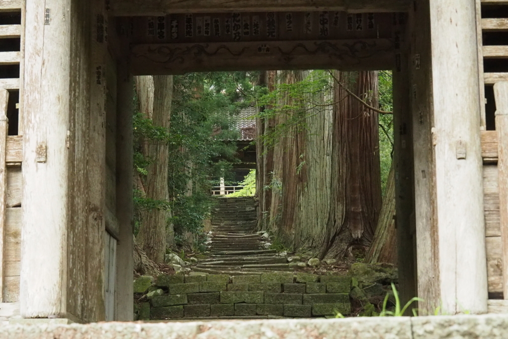 f:id:wassy1974:20180730215232j:plain f:id:wassy1974:20180730215232j:plain