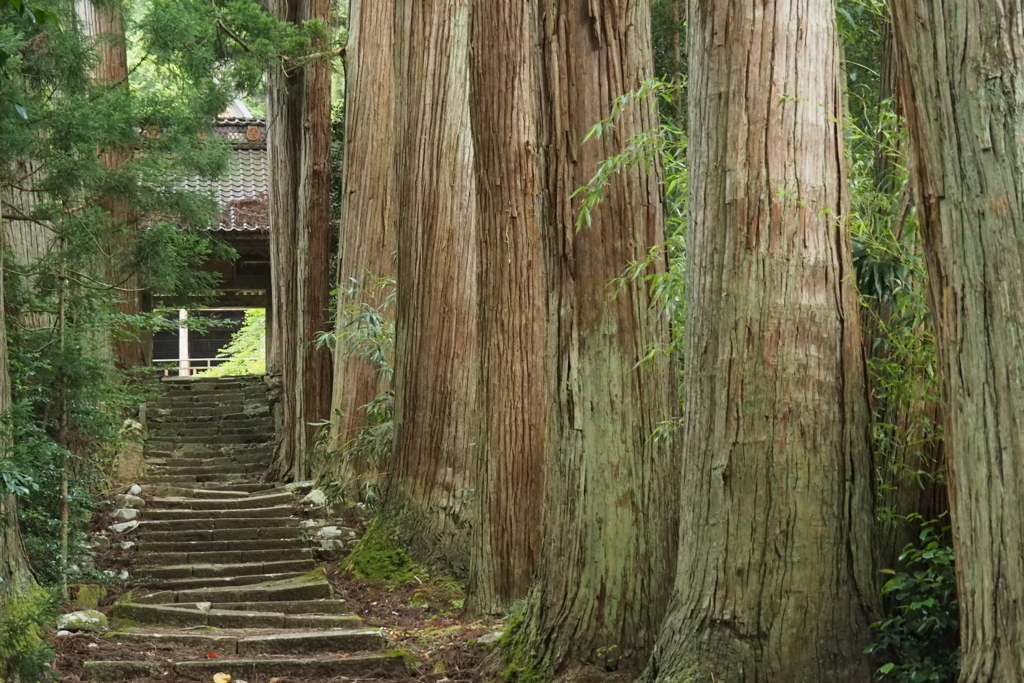 f:id:wassy1974:20180730215258j:plain f:id:wassy1974:20180730215258j:plain