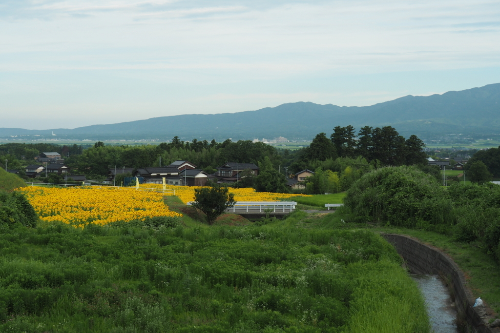 f:id:wassy1974:20180730220117j:plain f:id:wassy1974:20180730220117j:plain