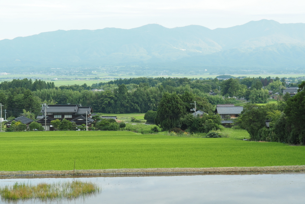 f:id:wassy1974:20180730220206j:plain f:id:wassy1974:20180730220206j:plain