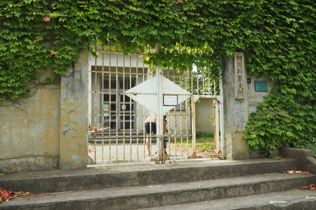 f:id:wassy1974:20180730221227j:plain f:id:wassy1974:20180730221227j:plain