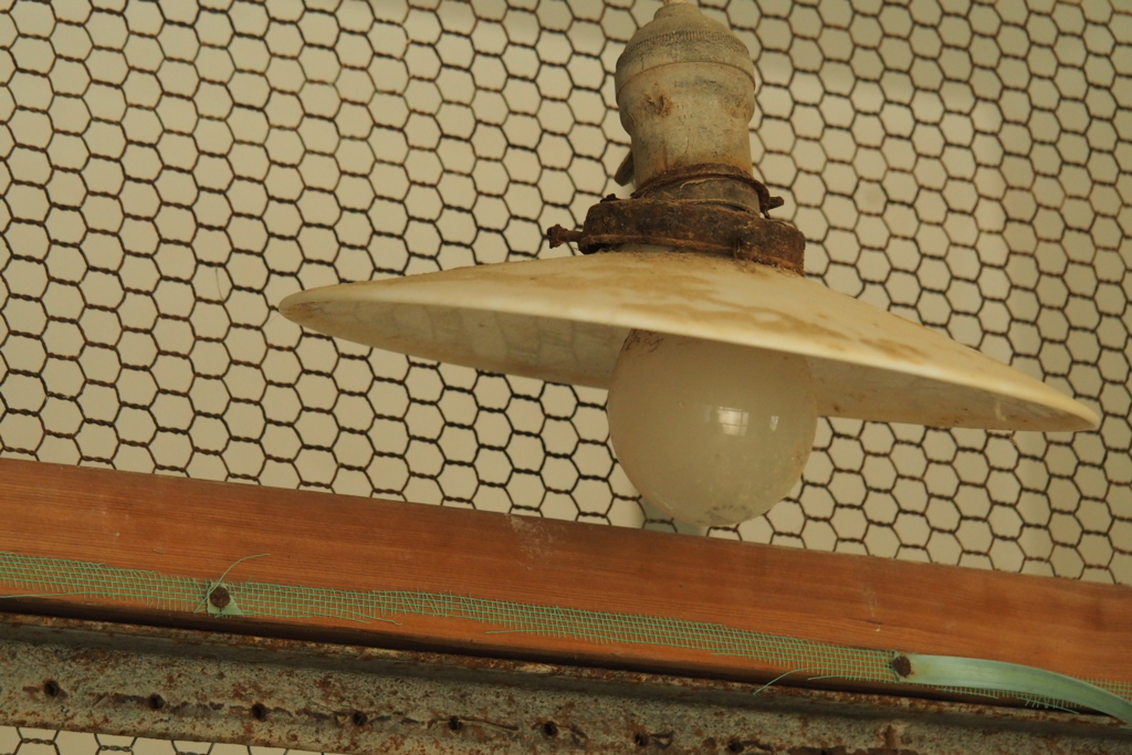 f:id:wassy1974:20180730221524j:plain f:id:wassy1974:20180730221524j:plain