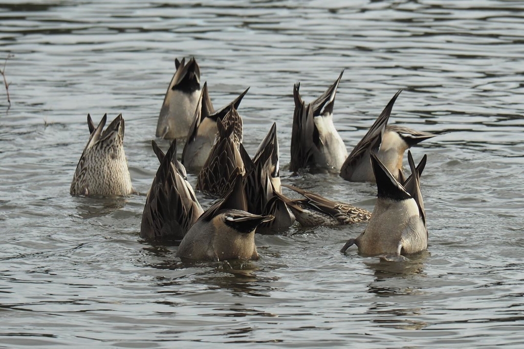 f:id:wassy1974:20181127221421j:plain