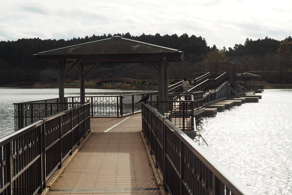 f:id:wassy1974:20181127221429j:plain