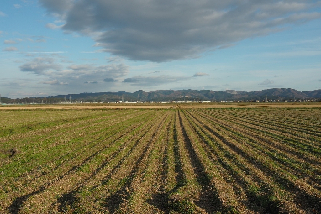 f:id:wassy1974:20181127221629j:plain