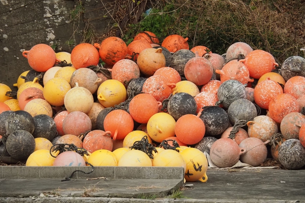 f:id:wassy1974:20181130221035j:plain f:id:wassy1974:20181130221035j:plain