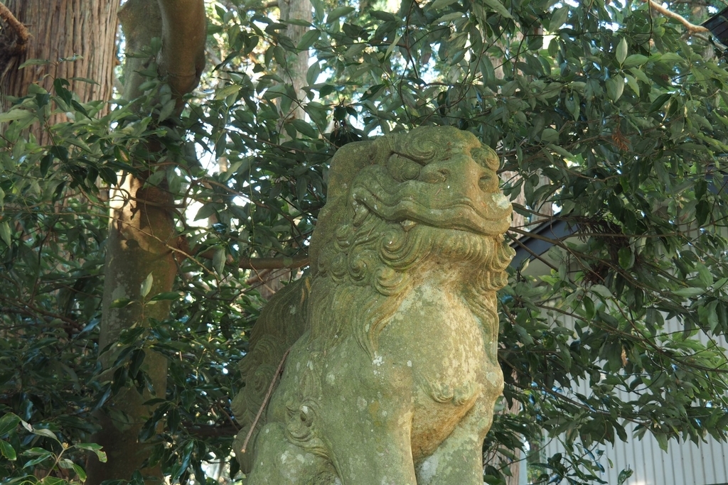 f:id:wassy1974:20181130223201j:plain f:id:wassy1974:20181130223201j:plain