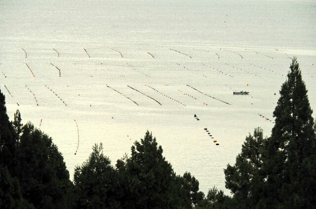 f:id:wassy1974:20181203103636j:plain f:id:wassy1974:20181203103636j:plain