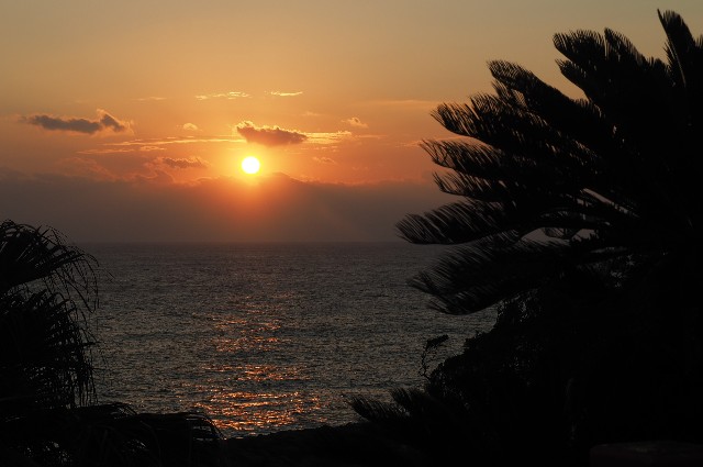 f:id:wassy1974:20181231084302j:image f:id:wassy1974:20181231084302j:image