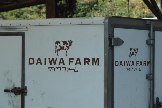 f:id:wassy1974:20181231145808j:image f:id:wassy1974:20181231145808j:image