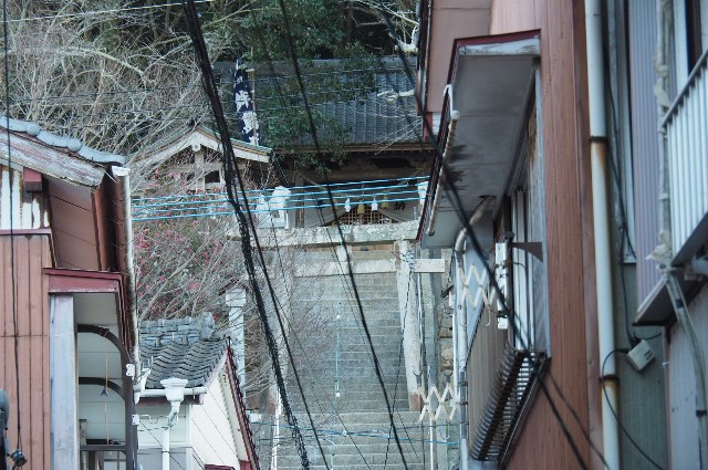 f:id:wassy1974:20181231163107j:image f:id:wassy1974:20181231163107j:image