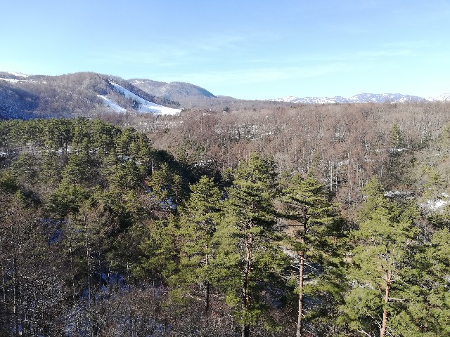 f:id:wassy1974:20190304073220j:image f:id:wassy1974:20190304073220j:image