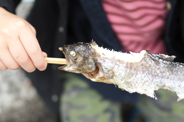 f:id:wassy1974:20190430222558j:image f:id:wassy1974:20190430222558j:image