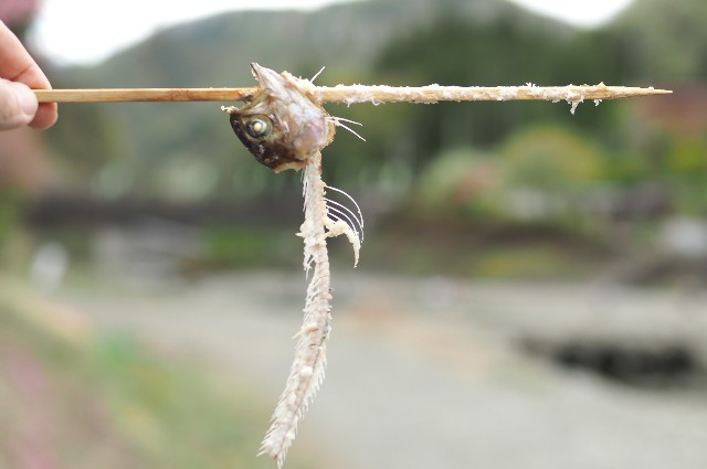 f:id:wassy1974:20190430222640j:image f:id:wassy1974:20190430222640j:image