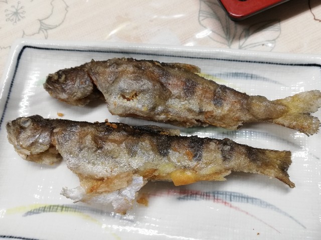 f:id:wassy1974:20190430222824j:image f:id:wassy1974:20190430222824j:image