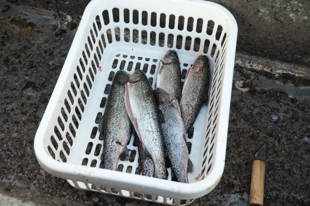 f:id:wassy1974:20190430230725j:image f:id:wassy1974:20190430230725j:image