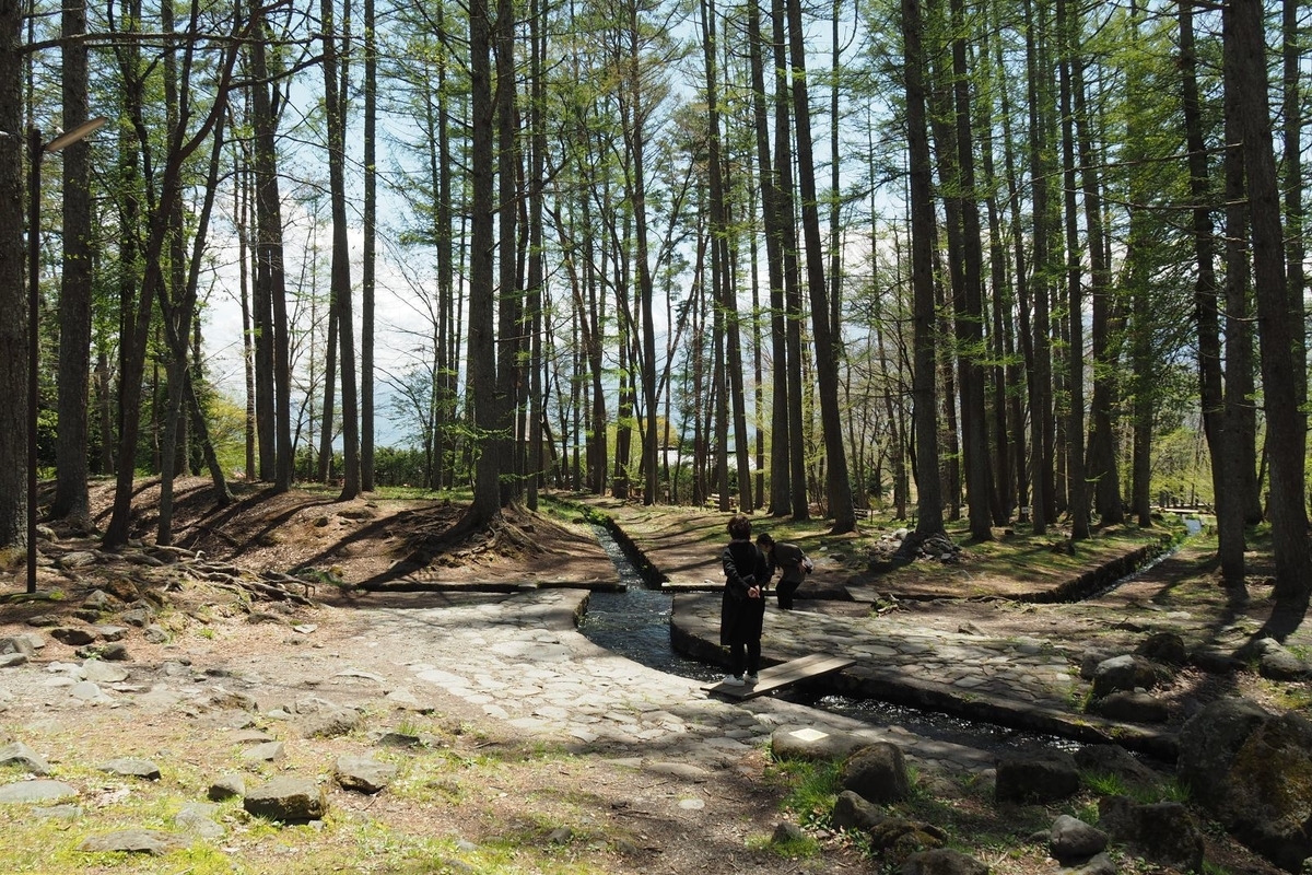 f:id:wassy1974:20190506215149j:plain