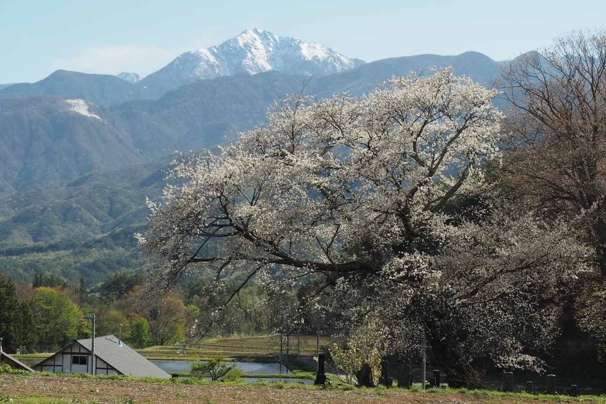 f:id:wassy1974:20190506215524j:plain