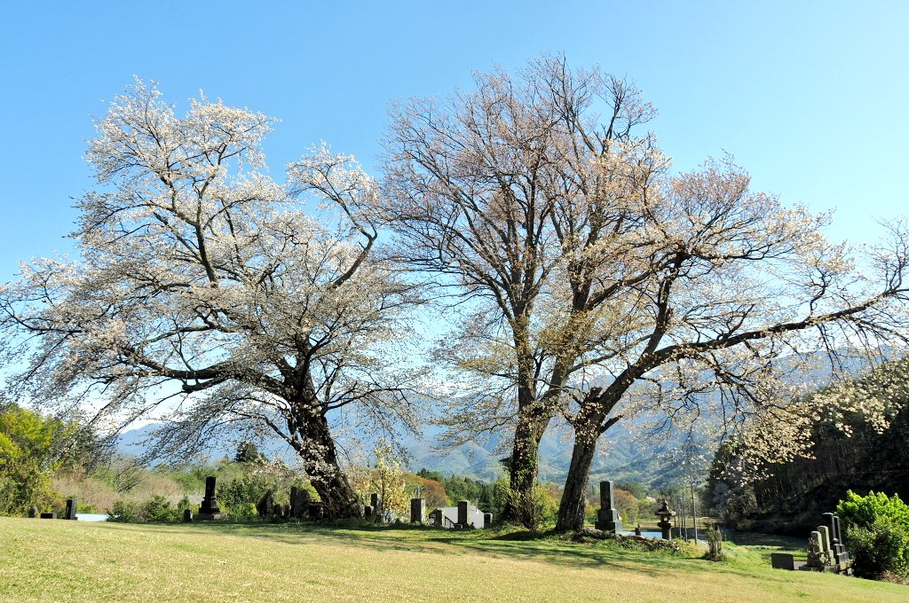 f:id:wassy1974:20190506215541j:plain