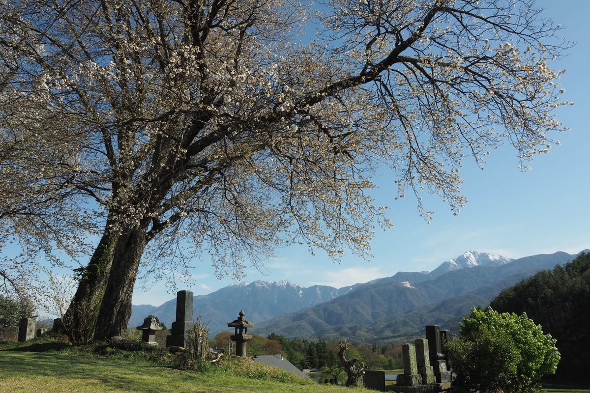 f:id:wassy1974:20190506215544j:plain