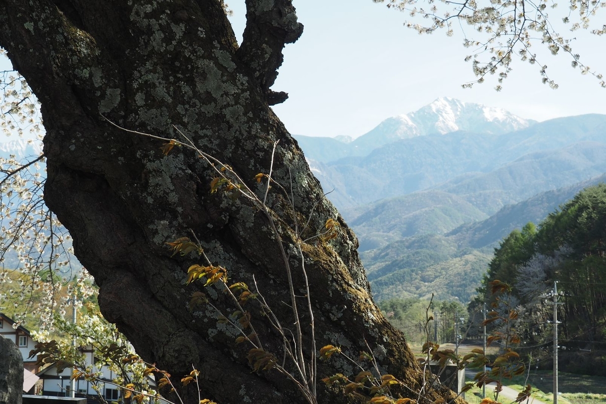 f:id:wassy1974:20190506215549j:plain