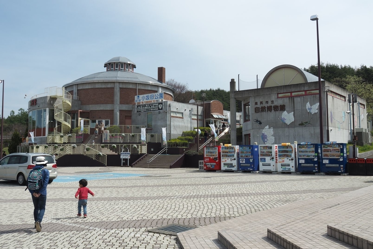 f:id:wassy1974:20190506220219j:plain