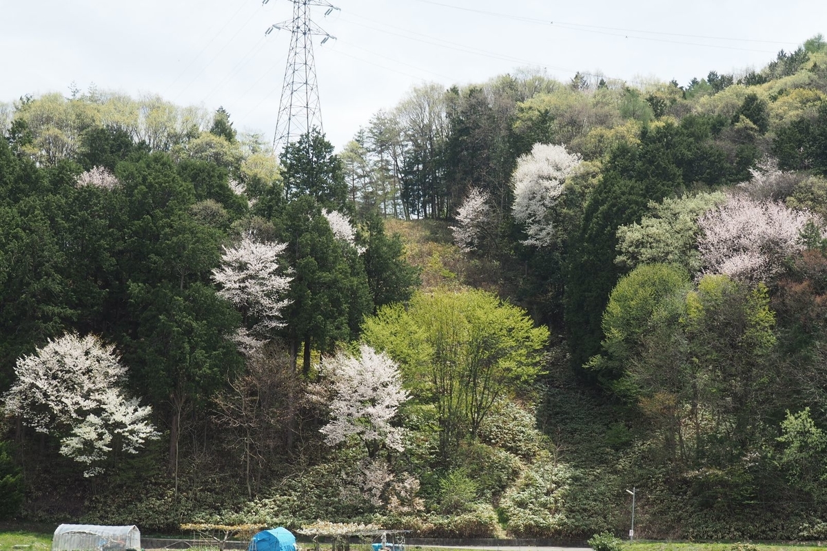 f:id:wassy1974:20190506220247j:plain