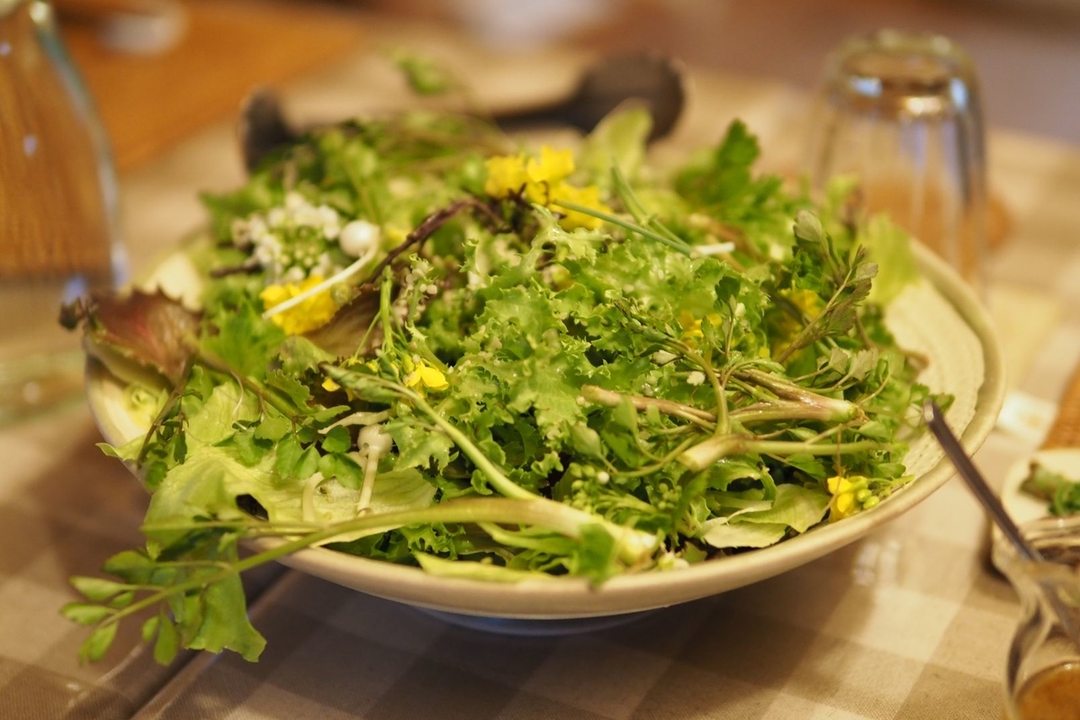 f:id:wassy1974:20190509080850j:plain f:id:wassy1974:20190509080850j:plain