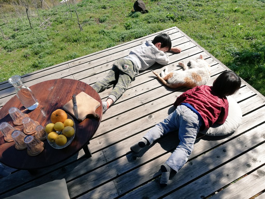 f:id:wassy1974:20190509081231j:plain f:id:wassy1974:20190509081231j:plain