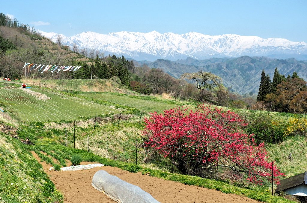 f:id:wassy1974:20190509081435j:plain f:id:wassy1974:20190509081435j:plain