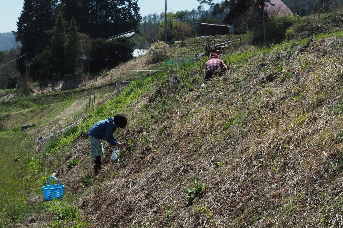 f:id:wassy1974:20190509081439j:plain f:id:wassy1974:20190509081439j:plain