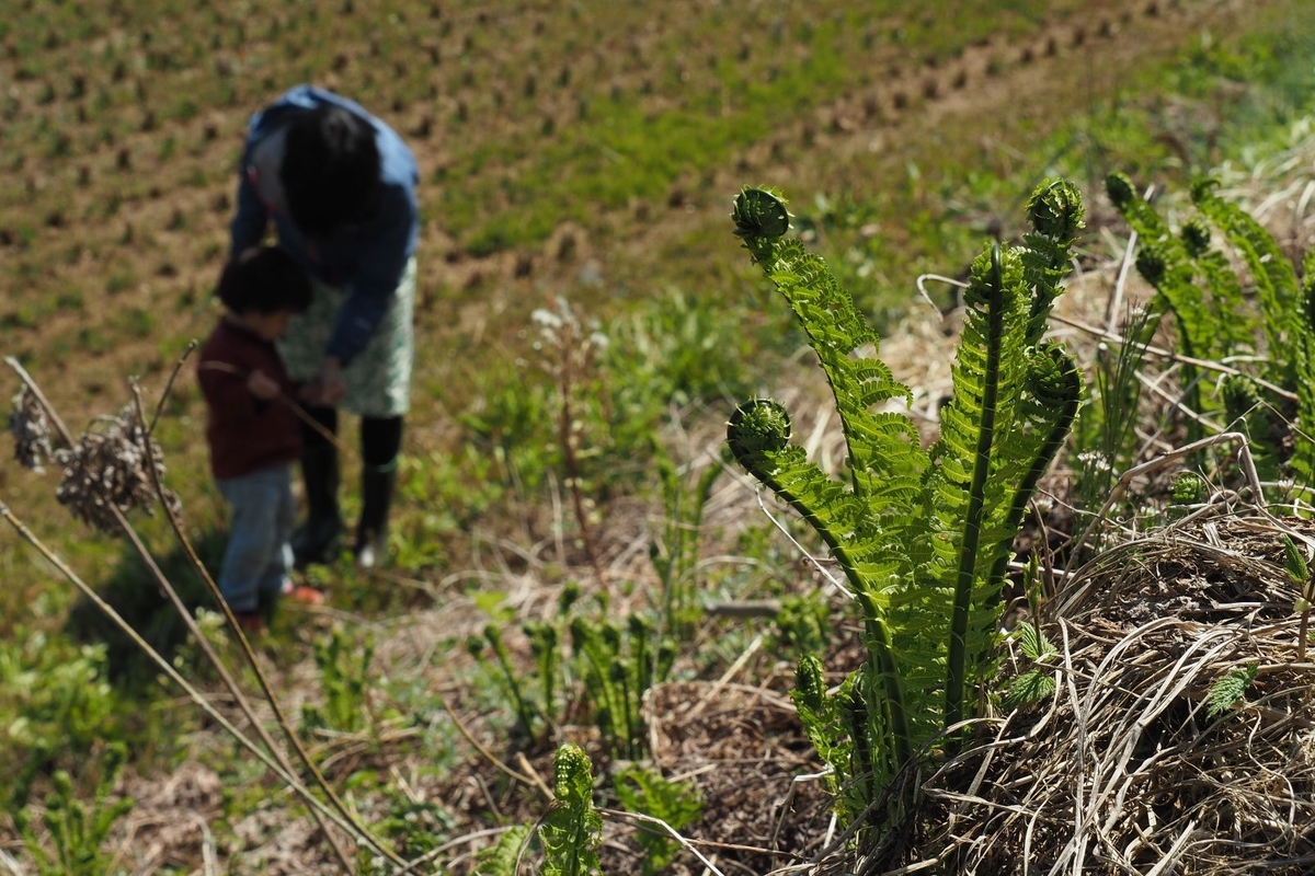 f:id:wassy1974:20190509081448j:plain f:id:wassy1974:20190509081448j:plain